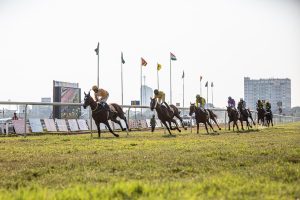 Who Horse Racing Tips India: Pro Tips to Win in India (2026)